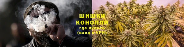 шишки Осинники