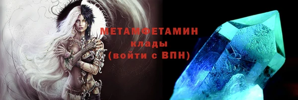 шишки Осинники