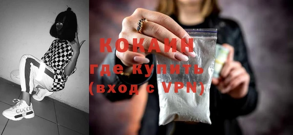 шишки Осинники