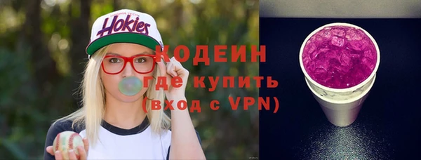 шишки Осинники