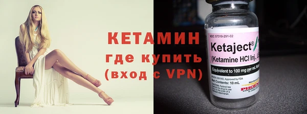 шишки Осинники