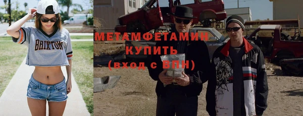 шишки Осинники