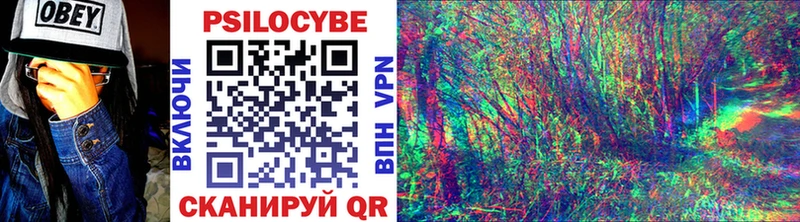 Псилоцибиновые грибы мухоморы  купить наркотики сайты  Тосно 