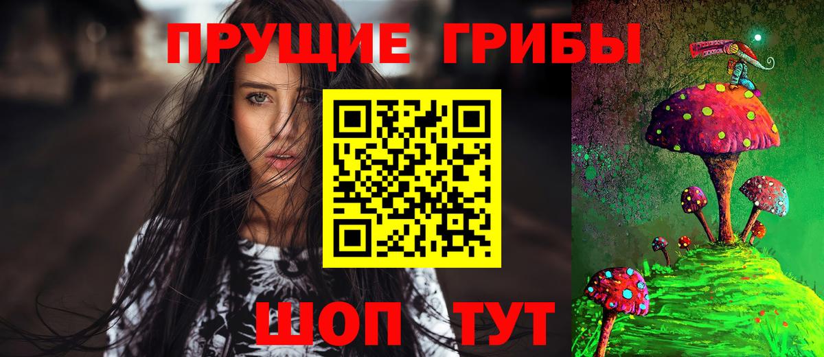 Псилоцибиновые грибы Psilocybine cubensis Тосно
