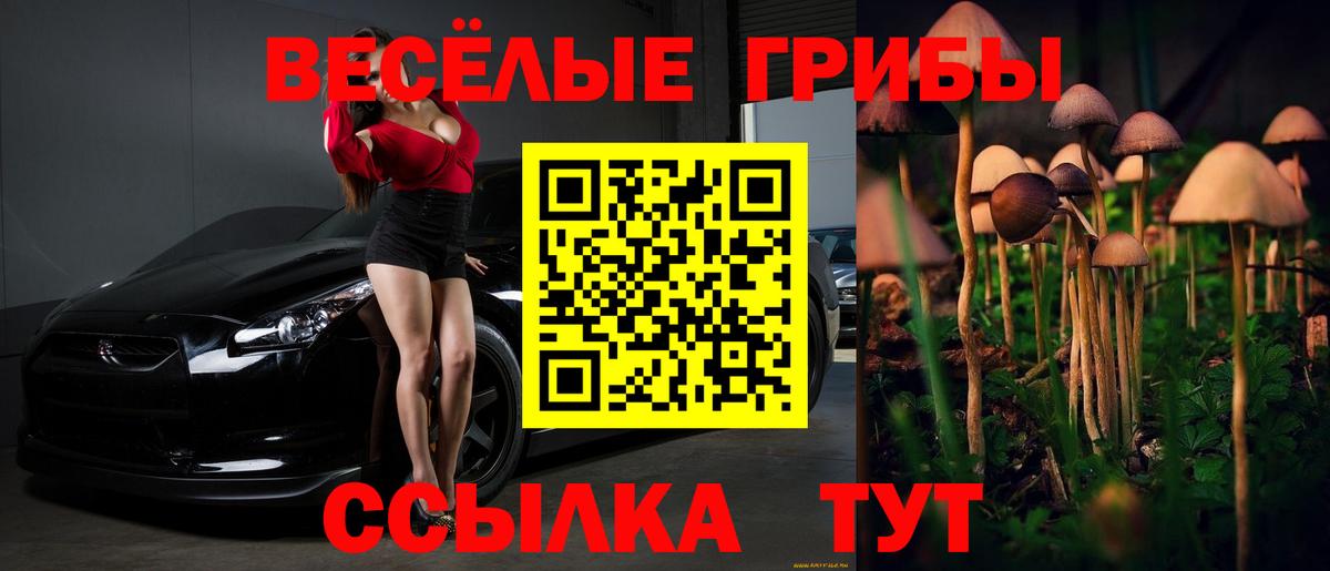 Псилоцибиновые грибы Psilocybe  Тосно  хочу   Галлюциногенные грибы ЛСД 