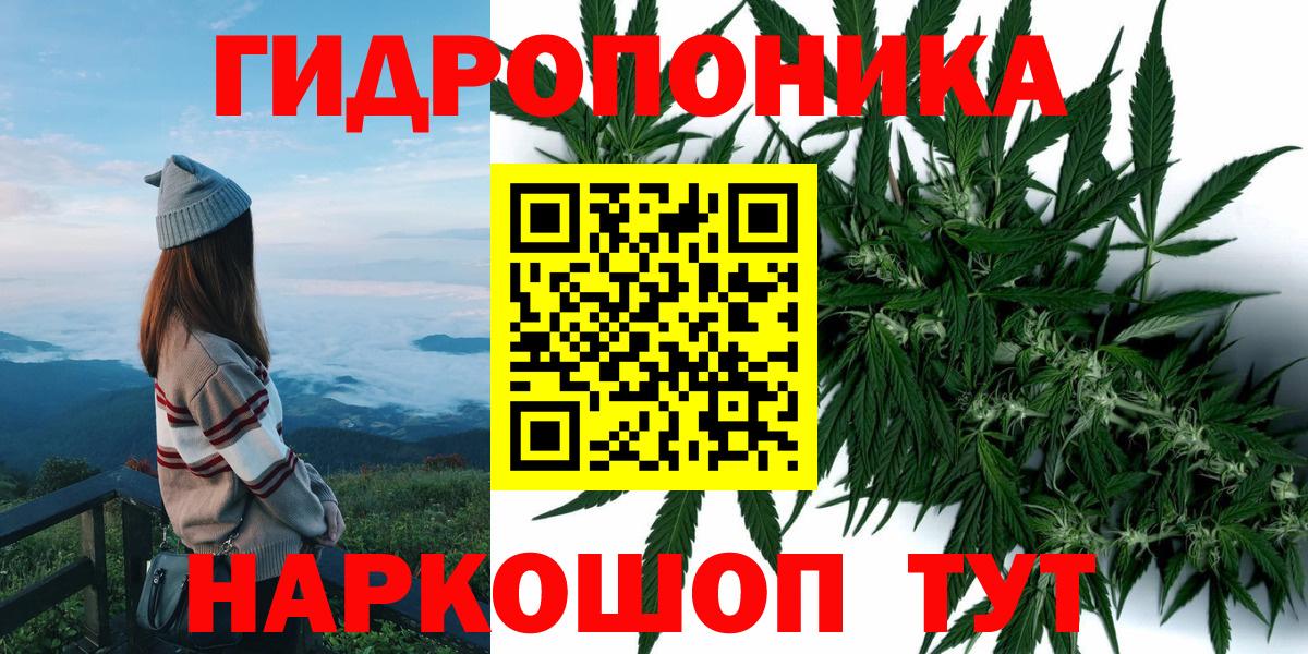 Канабис планчик Тосно